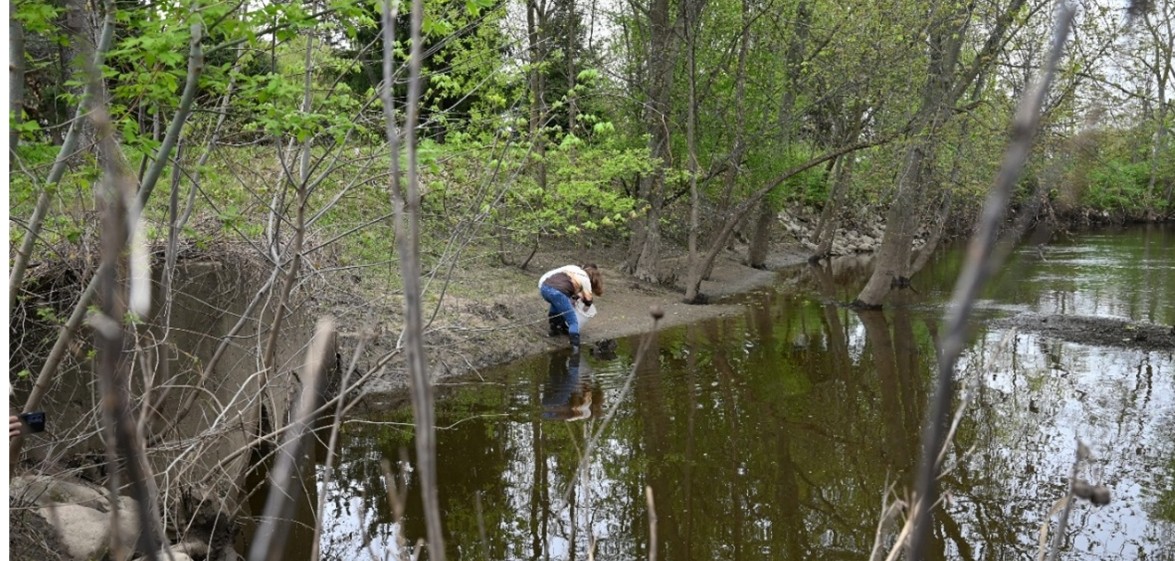 Students releasing steelhead 2.jpg